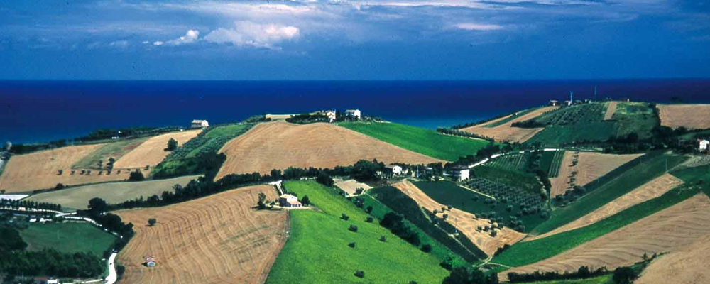 Paesaggio marchigiano